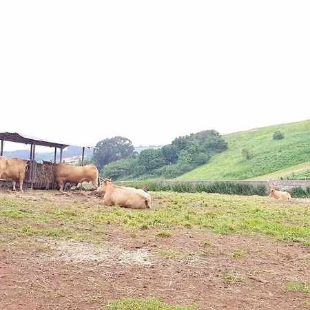 Landhaus Casa Rural Salguero De Abajo Dormón